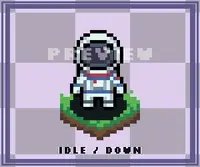 32x32 Top-Down Character Animation Pack