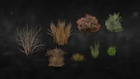 PSX Nature