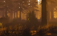 PSX Nature