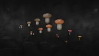 PSX Nature