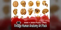 Винтажный набор изображений анатомии человека Vintage Human Anatomy Art Pack