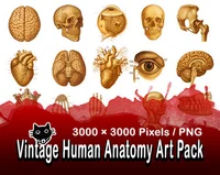 Винтажный набор изображений анатомии человека Vintage Human Anatomy Art Pack